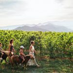 Pony Shetland - Attività ludica con i pony 3