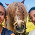 Pony Shetland - Attività ludica con i pony 5
