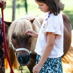 Pony Shetland - Attività ludica con i pony 8