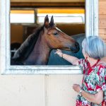 cavallo