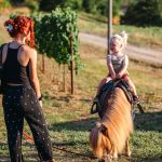 pony